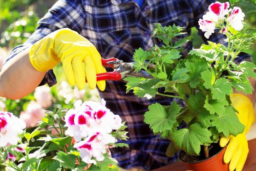 Customer complaint being reviewed during a landscaping service