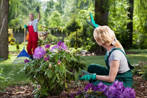 A backyard garden scene featuring a lush lawn bordered by a variety of flowering shrubs with purple blooms in the foreground. A woman in green gardening gloves is kneeling on the soil, tending to the plants, with her back partially turned. Behind her, a child dressed in a red apron and blue gloves is engaged in yard work near a pond or water feature, with a garden rake resting nearby. The garden is shaded by tall trees with dense green foliage, creating a natural canopy. The environment appears well-maintained with a mix of grass, soil, and decorative plantings, indicating active gardening and landscaping activity suitable for outdoor service providers like Landscapers Ealing in the local area near Ealing.