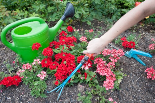 A close-up view of a garden bed in a backyard, featuring vibrant red and pink flowering plants arranged around a small patch of freshly turned soil. In the foreground, a gardener's hand is visible, holding a blue hand rake, tending to the plants. To the left, there is a bright green watering can resting on the soil among the flowers. The background shows dense green foliage, shrubs, and a mature hedge, indicating a well-maintained outdoor space likely in the Ealing area. The scene is outdoors, illuminated by natural daylight, suggesting a mild weather condition suitable for gardening work. This detailed, natural setting highlights typical elements of garden maintenance and planting activities often provided by professional gardening services such as Landscapers Ealing.