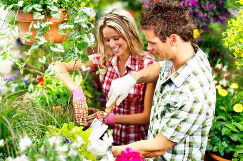 In a vibrant backyard garden in Ealing, two individuals are engaged in gardening activities amidst lush greenery and colorful flowering plants. The foreground features a well-maintained lawn with dense, dark green grass, bordered by flower beds filled with blooming pink, purple, and yellow flowers. Behind them, a variety of shrubs and hedges add structure to the garden, with some sections shaded by taller trees. The garden includes paved pathways and a wooden decking area visible in the background, providing a neat outdoor space for relaxing or gardening tasks. The lighting suggests a bright, partly sunny day, enhancing the natural tones of the garden elements. The individuals are wearing casual, practical gardening clothing, with one person holding a small garden tool, indicating they are actively tending to the plants. This scene exemplifies typical features of a landscaped backyard suitable for professional gardening and outdoor maintenance services, as offered by Landscapers Ealing, with a focus on creating a lush, inviting garden environment in the local area near Ealing postcode.