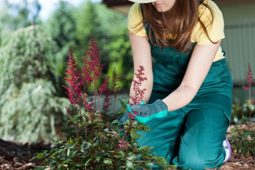 A person wearing teal gardening gloves and a yellow top is kneeling in a well-maintained garden, actively tending to a flower bed with pink and purple flowering plants. The garden features a lush, green lawn with dense bushes and shrubs in the background, along with a modern wooden shed or outbuilding. The garden surface appears to be soil or mulch around the plants, contrasting with the neatly cut grass. Sunlight filters through nearby trees, casting natural light over the outdoor space, which is part of a residential garden likely situated in Ealing or nearby West London. The scene highlights regular gardening activities, emphasizing lawn care, plant maintenance, and landscape management, aligning with services provided by Landscapers Ealing for outdoor garden improvement and maintenance.