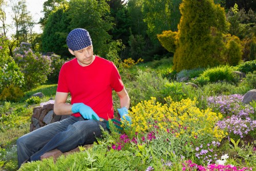 A man wearing a blue patterned beanie, red t-shirt, and light blue gardening gloves is seated on a low stone wall in a well-maintained front garden, surrounded by an array of flowering plants, shrubs, and greenery. He appears to be examining or tending to a vibrant bed of yellow, pink, and purple flowers, with lush green foliage filling the scene. The garden features a neatly trimmed lawn in the foreground, bordered by flower beds with a variety of colours and textures, including dense shrubbery and taller trees in the background, providing shade and natural privacy. The sunlight indicates a clear, bright day, highlighting the natural tones of the garden and creating a lively outdoor environment. The overall setting suggests professional gardening or landscaping care, typical of a service provided by local companies like Landscapers Ealing, in the context of maintaining or enhancing outdoor spaces in the Ealing area.
