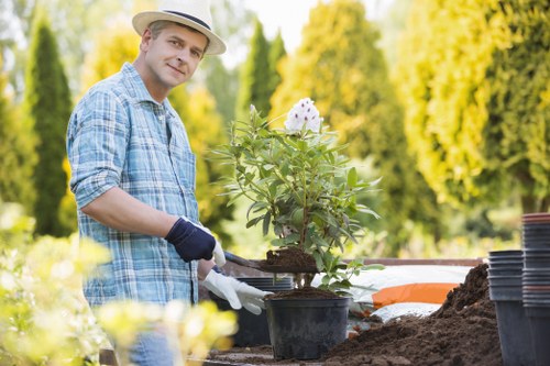 The image depicts a man working outdoors in a garden during daylight, transplanting or potting a flowering plant with white blossoms into a black plastic container. He is dressed in a light blue checked shirt, a straw hat, and gardening gloves, standing at a wooden work surface surrounded by gardening tools and supplies. The garden features a well-maintained lawn area with lush, green grass in the foreground, and a backdrop of tall, leafy trees with bright yellow-green foliage under clear, sunny weather. The scene suggests a peaceful outdoor space suitable for gardening and landscaping activities, aligning with services provided by Landscapers Ealing including planting, garden maintenance, and lawn care to enhance outdoor environments in west London.