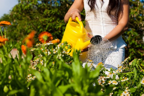 The image depicts a person in a garden, watering a variety of flowering plants with a yellow plastic watering can. The garden features a neatly maintained lawn with dense patches of green grass in the foreground, interspersed with vibrant orange and white flowers, possibly daisies or marigolds. In the background, there are lush green hedges and shrubs, along with trees that provide a natural backdrop under bright sunlight, suggesting clear weather typical of the UK climate. The person, dressed in a light-colored top and denim jeans, is focused on caring for the plants, which are arranged in beds along a defined border. The garden surface includes a combination of well-kept grass, dirt soil, and possibly some paving or garden edging, typical of residential landscaping in Ealing. This scene highlights outdoor maintenance and gardening activities that Landscapers Ealing might facilitate, emphasizing lush greenery, flower care, and garden organisation in a typical suburban outdoor space.
