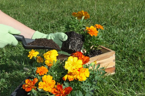 A gardener wearing light green gloves is planting a flowering plant into a wooden rectangular planter box in a landscaped outdoor garden. The planter contains vibrant orange, yellow, and red flowers, contrasting with the green grass surrounding the area. The plants are arranged in a neat, organized manner, with healthy foliage and blooms. The background reveals a well-maintained lawn, and natural daylight suggests a clear, sunny weather. The scene reflects a typical gardening activity performed by Landscapers Ealing as part of their residential or commercial garden planting services, emphasizing attention to detail in plant placement and garden design within a suburban outdoor space near Ealing.