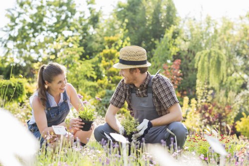 The image shows a young woman and a man working together in a lush, well-maintained garden in Ealing. The woman, with long dark hair tied back, holds a small potted plant with purple flowers, smiling as she interacts with the man. He is wearing a straw hat, a checked shirt, and gardening gloves, kneeling on the grass while tending to the soil or planting. The garden features a vibrant mix of flowering plants in shades of purple, pink, and yellow, bordered by a neatly trimmed hedge and tall trees in the background. The grass is dense and green, with patches of soil and paving visible near the planting area. Soft natural sunlight illuminates the scene, creating a welcoming outdoor environment suitable for gardening and landscaping activities. This setting underscores professional gardening services in Ealing, focusing on flower bed creation and garden maintenance, integrated seamlessly into a picturesque suburban landscape.