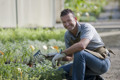 A man with short dark hair, wearing a grey short-sleeved shirt and blue jeans, is kneeling on a garden pathway while tending to a lush vegetable or herb garden. He is smiling and holding a small garden fork in his right hand, with his left hand touching the plants. The garden features green leafy plants, some with yellow flowers, bordered by a gravel pathway that runs alongside a well-maintained lawn. In the background, there is a wooden fence and some blurred greenery, suggesting a private outdoor space. The natural lighting indicates a bright, possibly sunny day, with a soft focus on the greenery to the left and the man as the main subject. This scene exemplifies typical gardening activities that could be provided by landscaping or garden maintenance services in the Ealing area, supporting local outdoor care efforts.