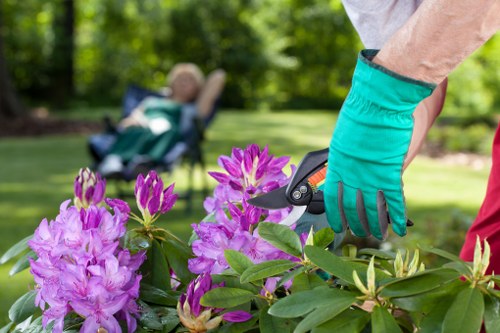 Innovative garden design by Ealing landscapers